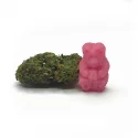 Petit Sachet de Bonbons - CANNABIDIOLPARADISE