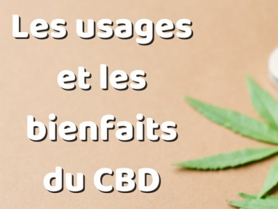  Les usages et bienfaits du CBD